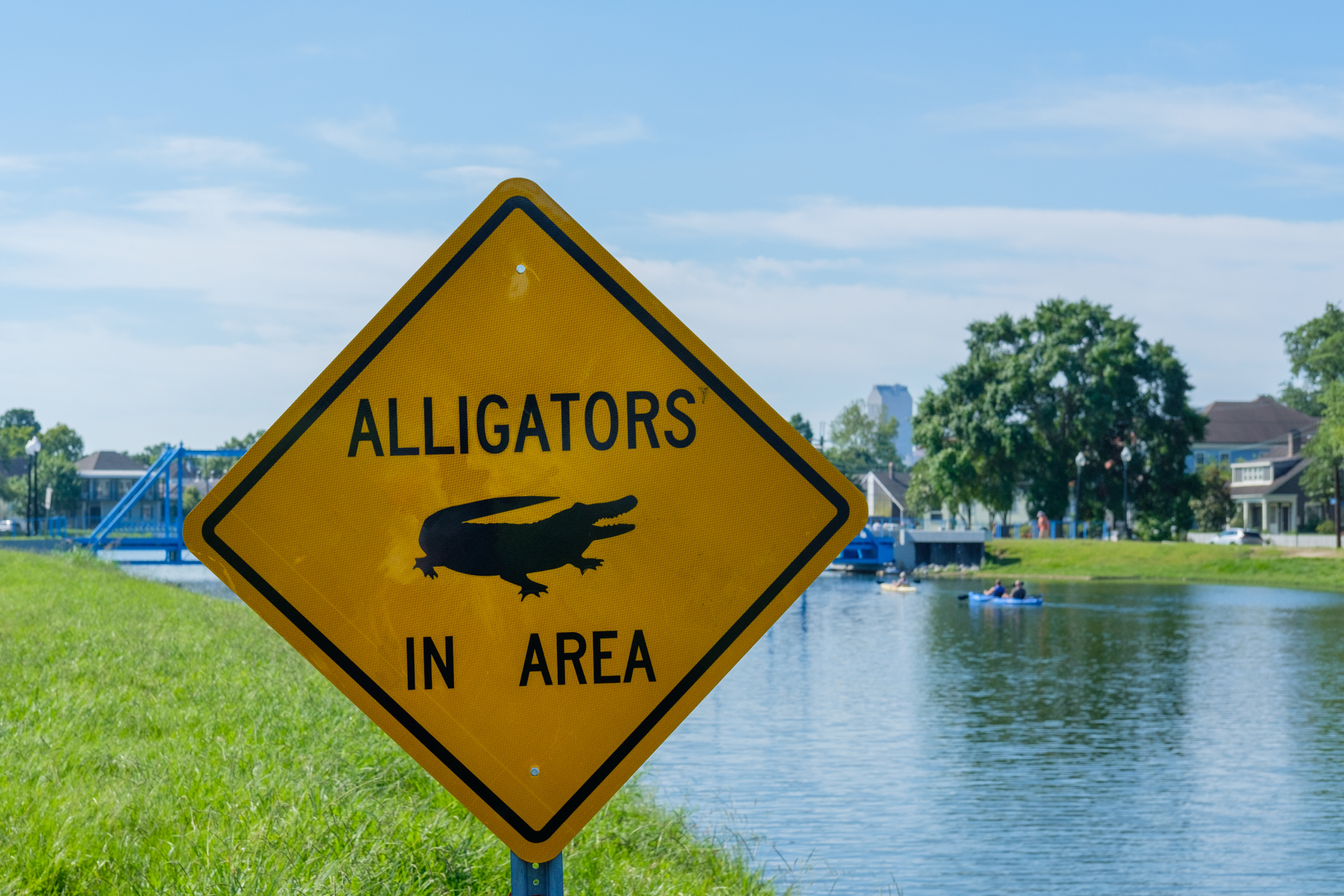 Alligators in Area warning sign beside Bayou St. John in New Orleans
