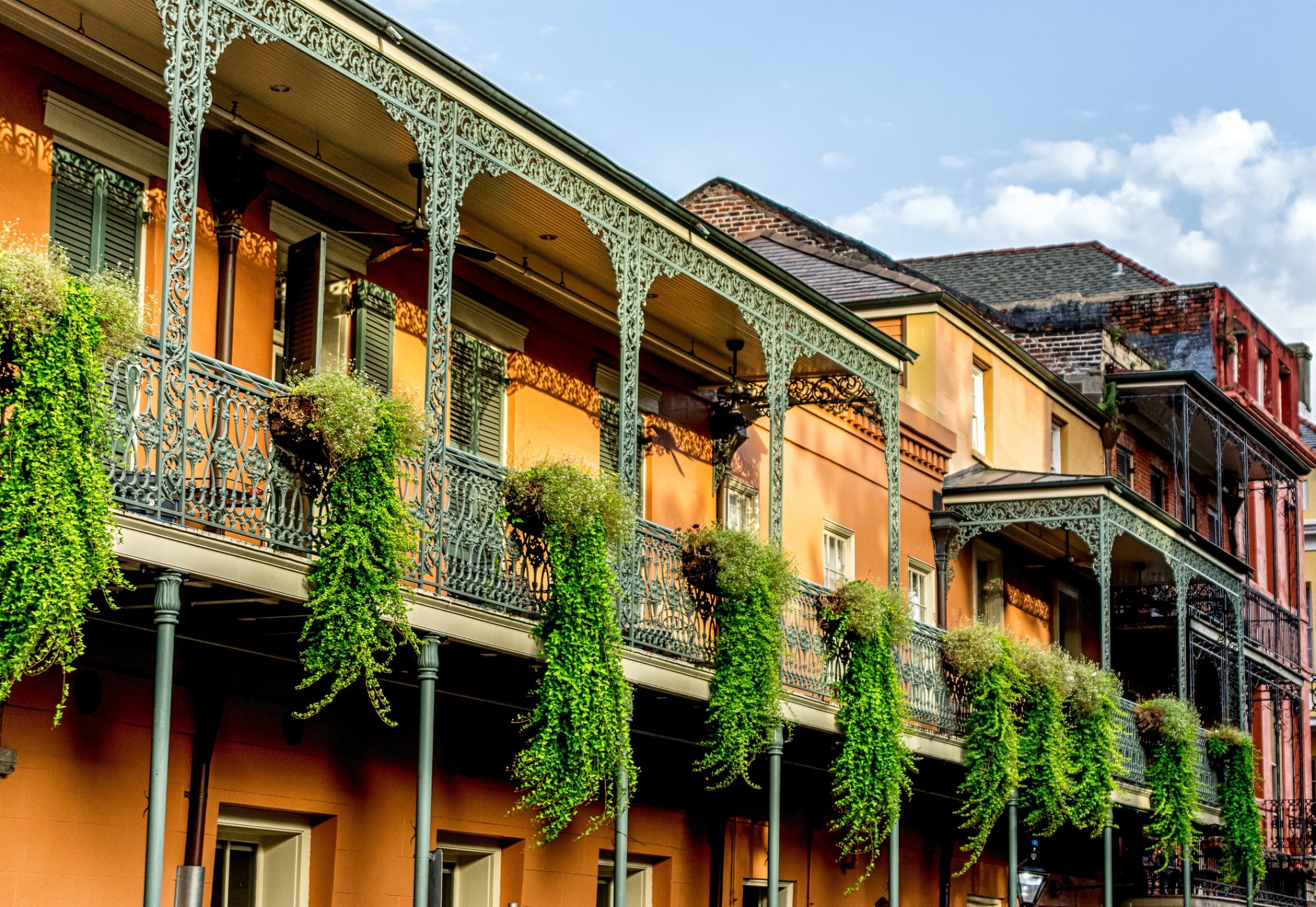 Historic New Orleans homes with ornate cast-iron galleries, hanging ferns, and warm terracotta facades